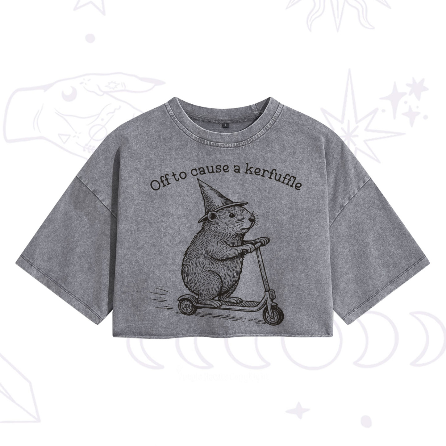 Purplehecate Off to Cause A Kerfuffle Washed Cropped T-Shirt