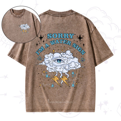 Purplehecate Sorry I'm A Water Sign Washed T-Shirt