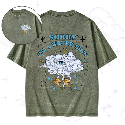 Purplehecate Sorry I'm A Water Sign Washed T-Shirt