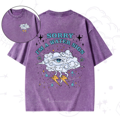 Purplehecate Sorry I'm A Water Sign Washed T-Shirt