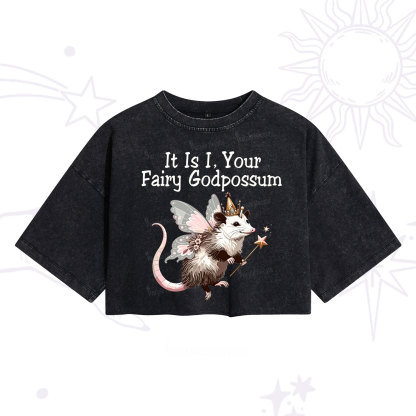 Purplehecate It Is I Your Fairy Godpossum Washed Cropped T-Shirt