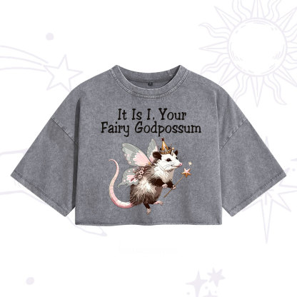 Purplehecate It Is I Your Fairy Godpossum Washed Cropped T-Shirt
