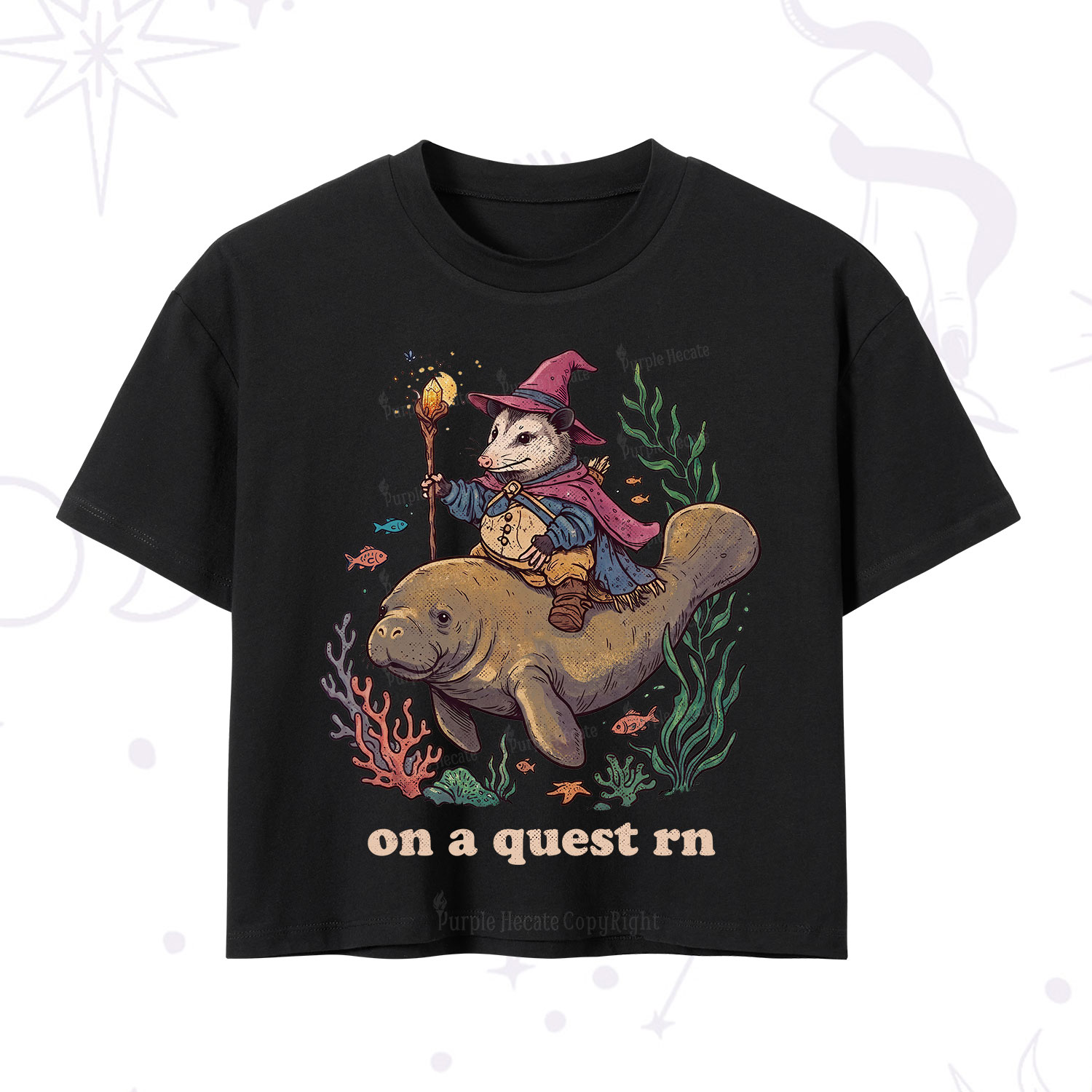Purplehecate Opossum Wizard on Sea Quest Crop T-Shirt