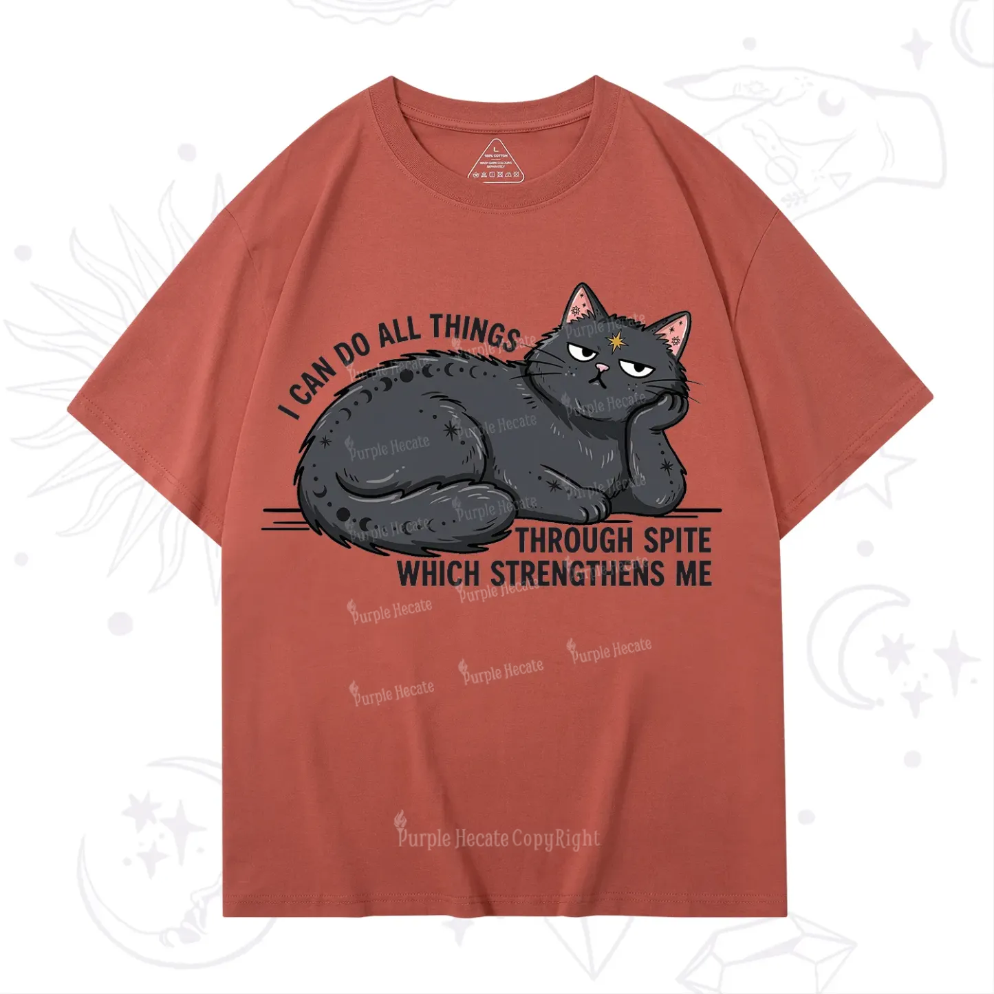 Purplehecate I Can Do All Things Spiteful Cat T-Shirt