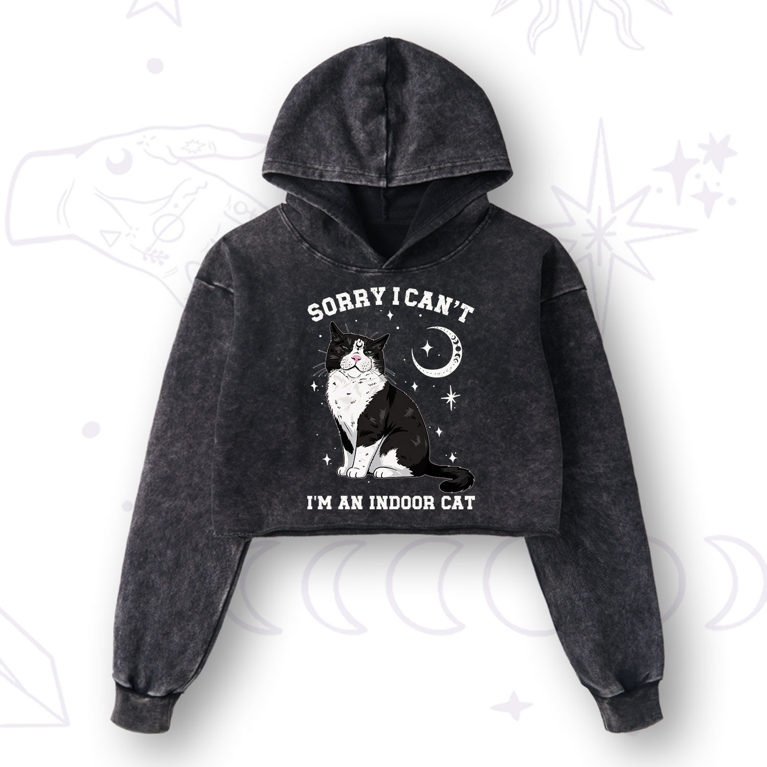 Purplehecate Sorry I Can't Go I'm an Indoor Cat Washed Cropped Hoodie