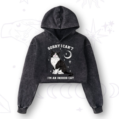 Purplehecate Sorry I Can't Go I'm an Indoor Cat Washed Cropped Hoodie