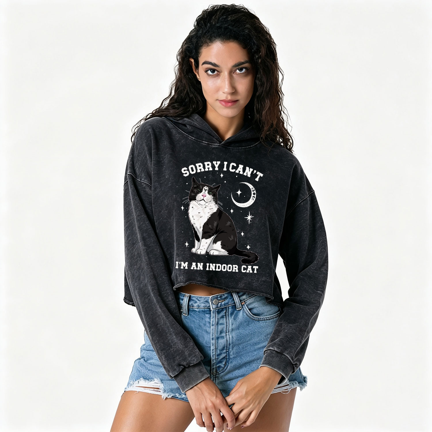 Purplehecate Sorry I Can't Go I'm an Indoor Cat Washed Cropped Hoodie