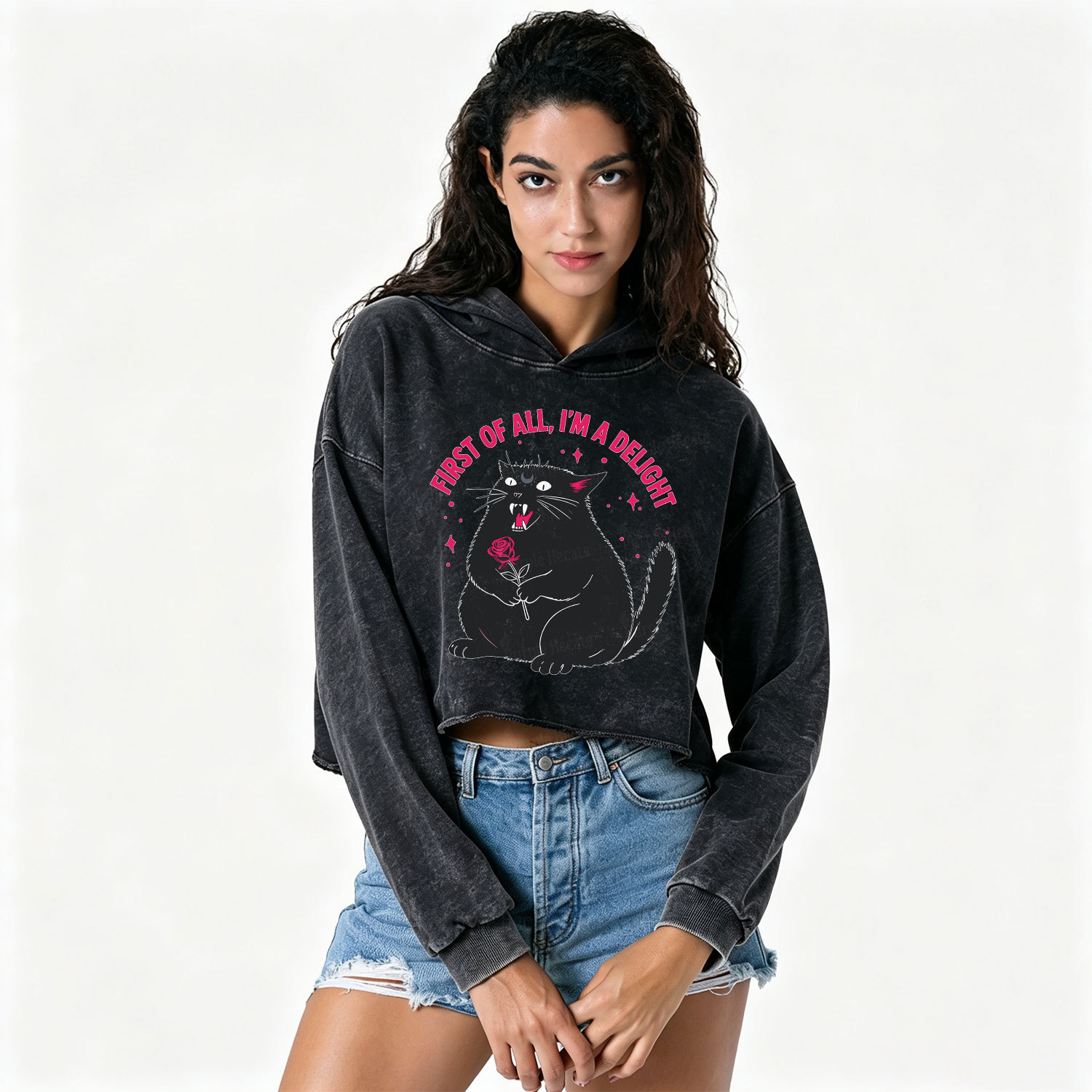 Purplehecate First Of All I'm A Delight Cat Washed Cropped Hoodie