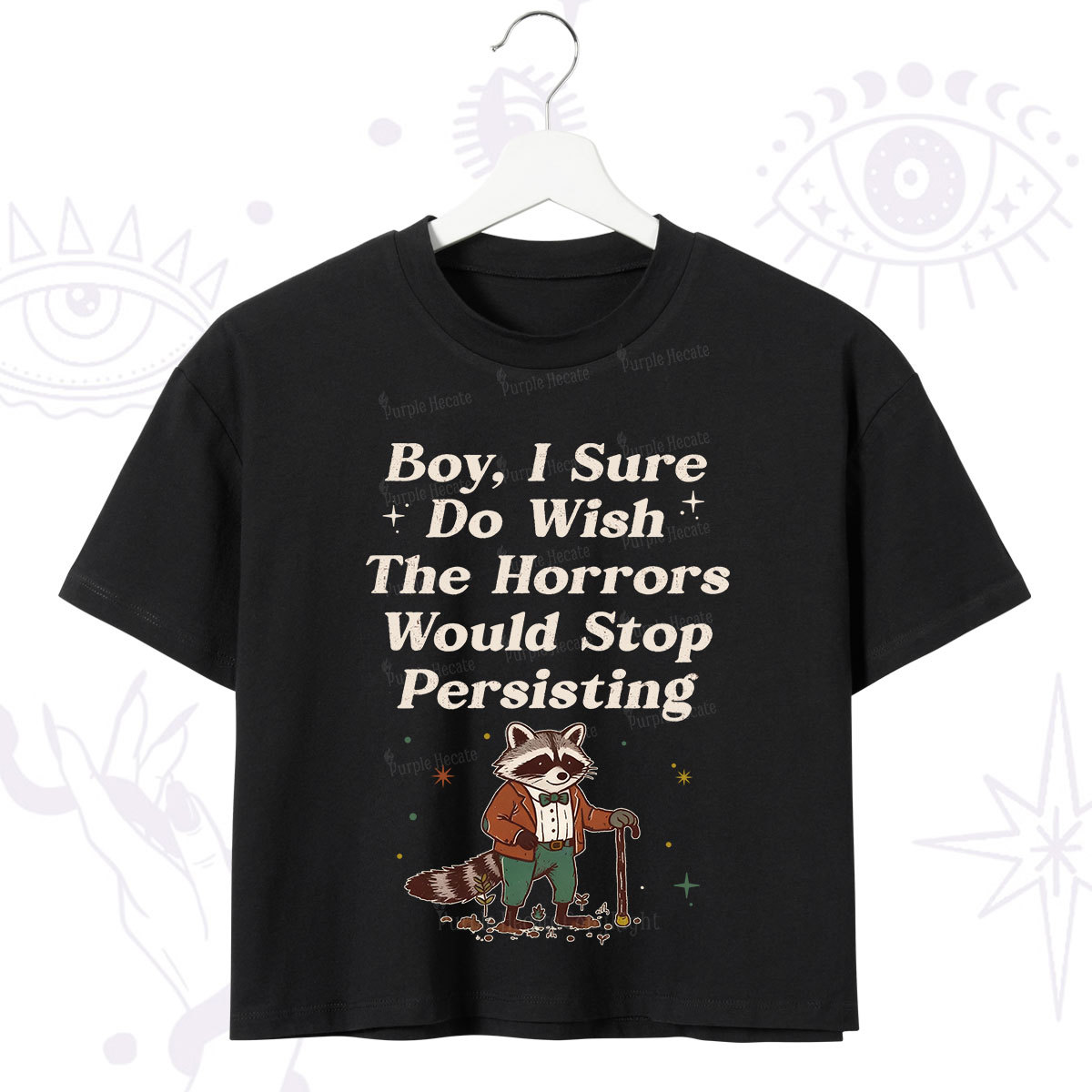 Purplehecate Raccoon Boy I Sure Do Wish The Horrors Would Stop Persisting Crop T-Shirt