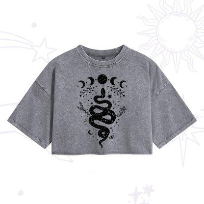 Purplehecate Snake And Moon Phase Comfort Washed Cropped T-Shirt