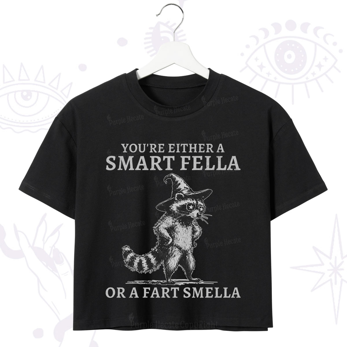 Purplehecate You're Either A Smart Fella or a Smart Fella  Crop T-Shirt