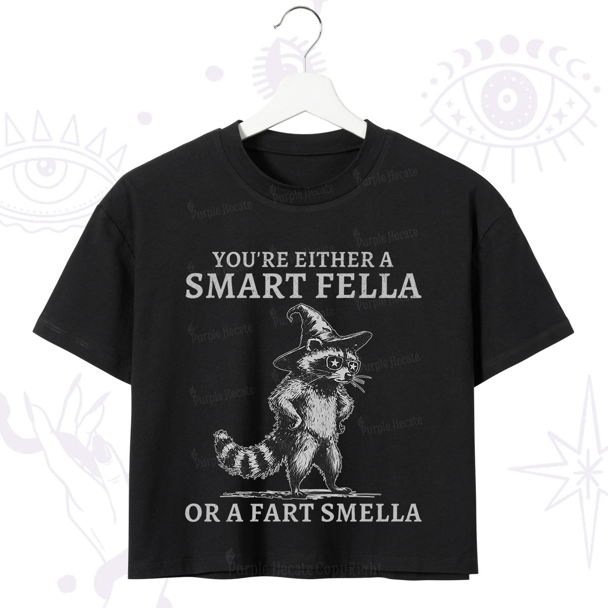 Purplehecate You're Either A Smart Fella or a Smart Fella  Crop T-Shirt