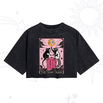 Purplehecate The Team Trash Opossum Tarot Washed Cropped T-Shirt