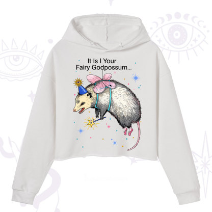 Purplehecate It Is I Your Fairy Godpossum Crop Hoodie
