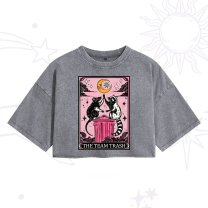 Purplehecate The Team Trash Opossum Tarot Washed Cropped T-Shirt