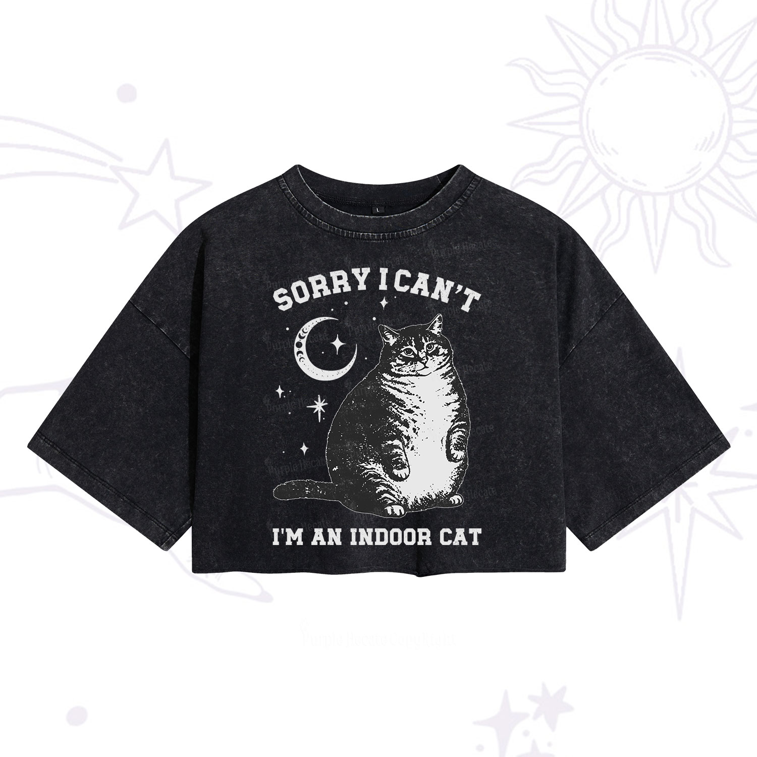 Purplehecate Sorry I Can't Go I'm an Indoor Cat Washed Cropped T-Shirt