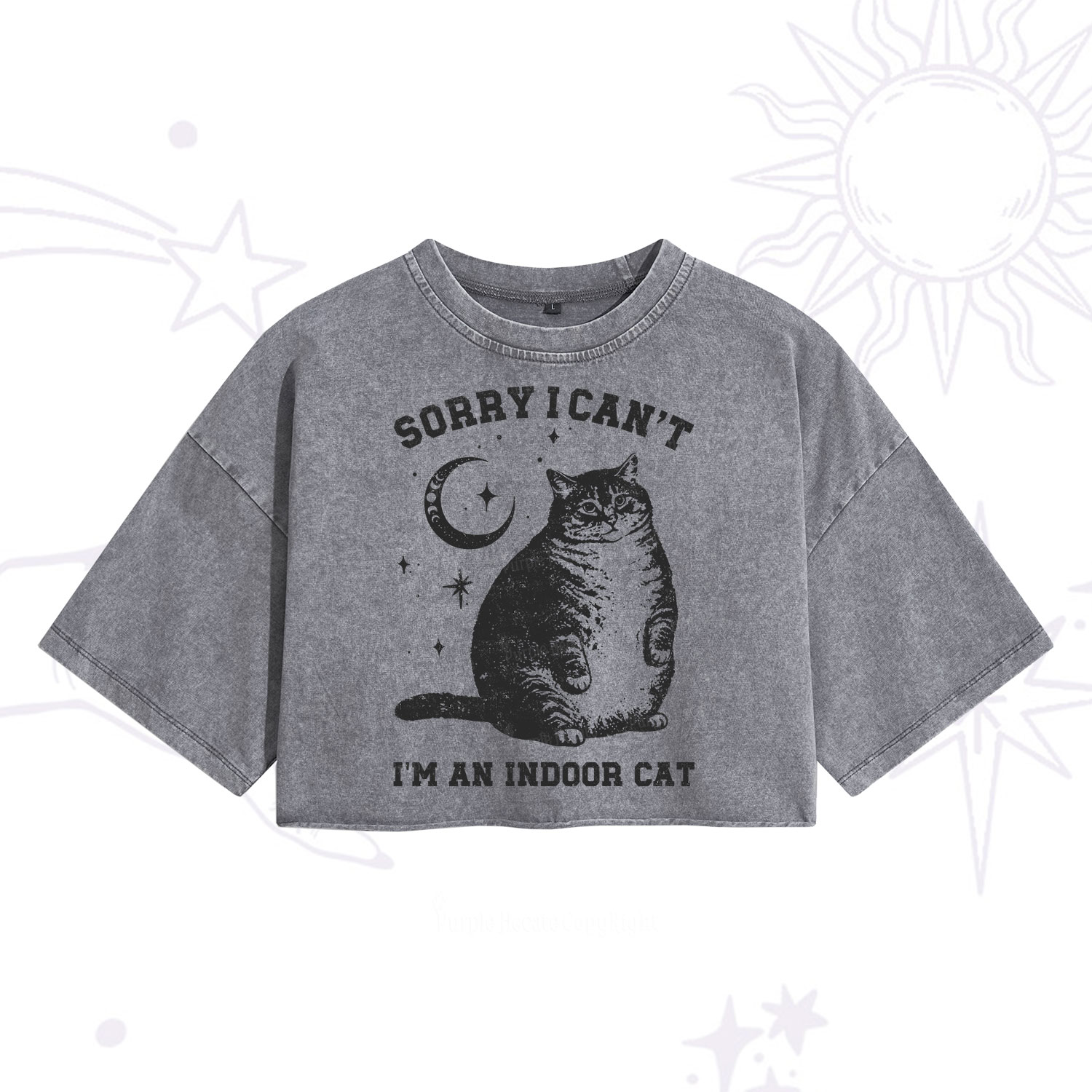 Purplehecate Sorry I Can't Go I'm an Indoor Cat Washed Cropped T-Shirt