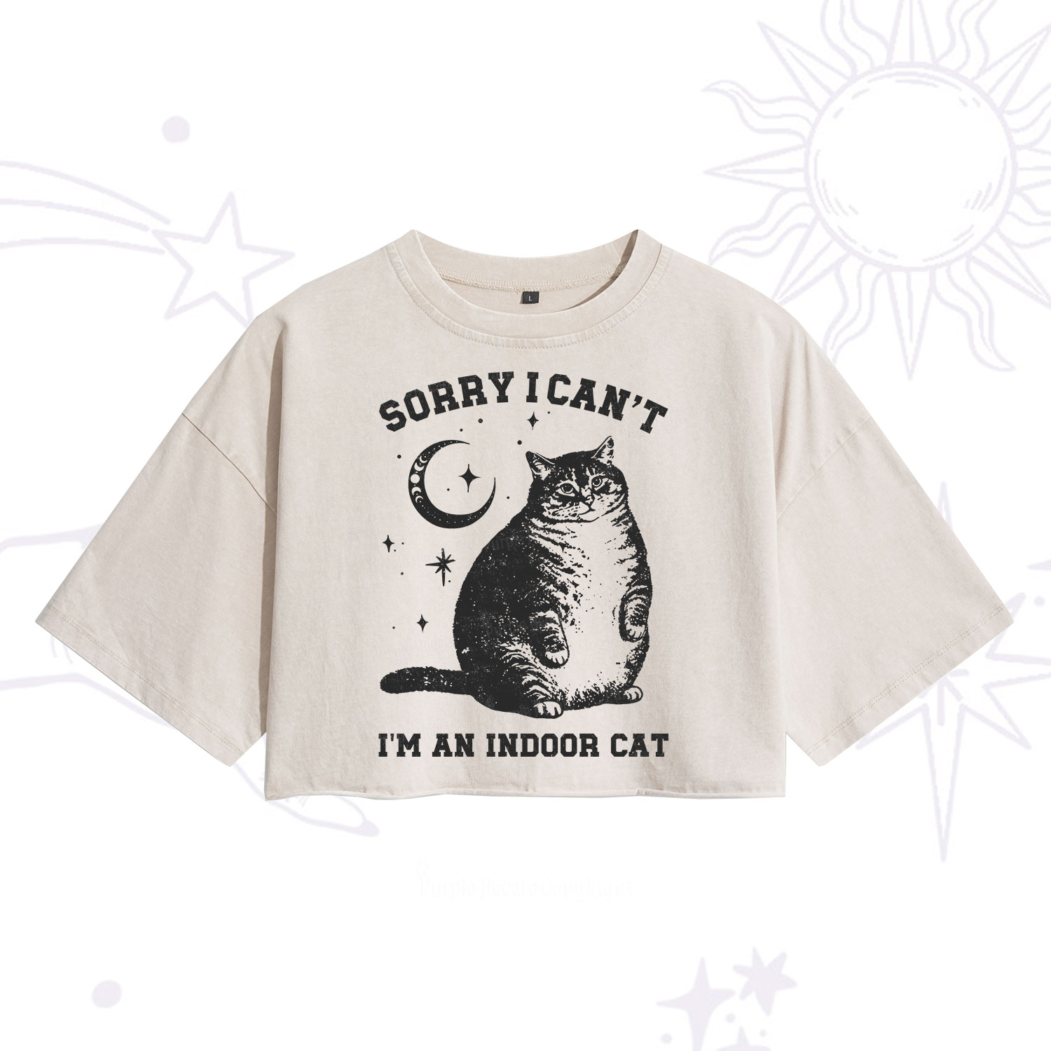 Purplehecate Sorry I Can't Go I'm an Indoor Cat Washed Cropped T-Shirt