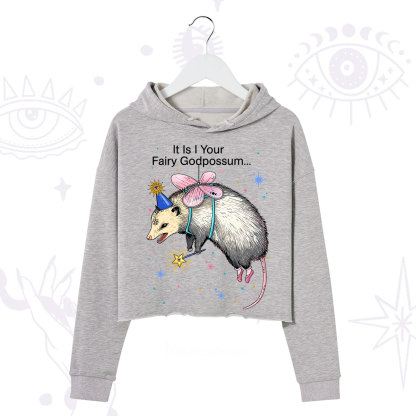 Purplehecate It Is I Your Fairy Godpossum Crop Hoodie
