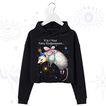 Purplehecate It Is I Your Fairy Godpossum Crop Hoodie