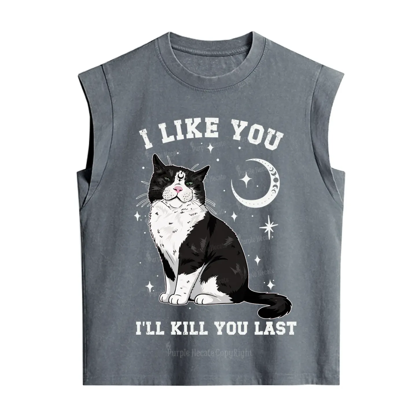 Purplehecate I Like You I'll Kill You Last Vintage Washed Tank