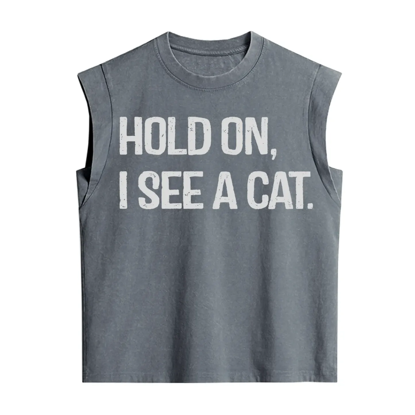 Purplehecate Hold on I See A Cat Vintage Washed Tank