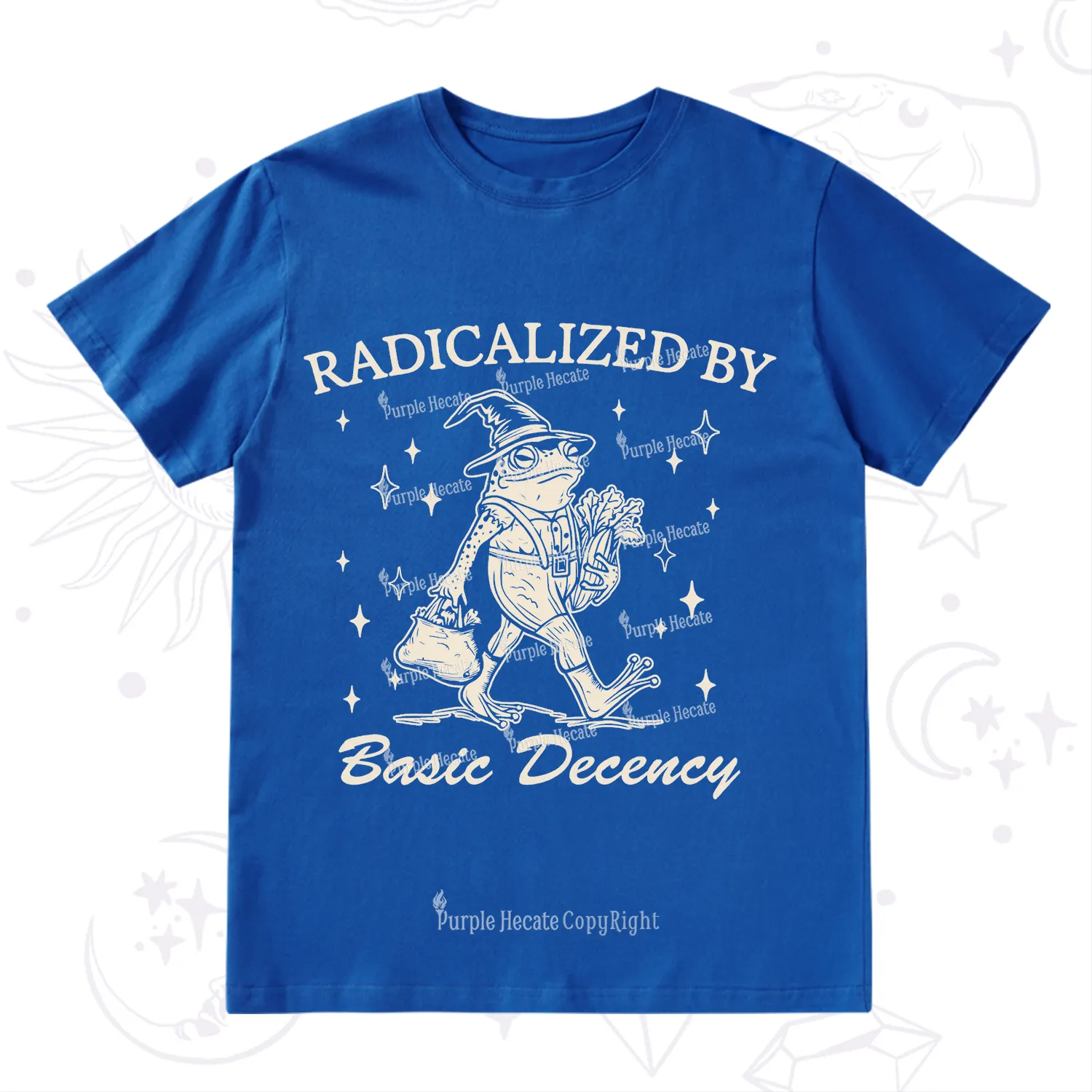 Purplehecate Radicalized By Basic Decency T-Shirt