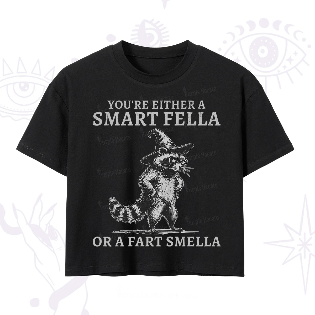 Purplehecate You're Either A Smart Fella or a Smart Fella  Crop T-Shirt