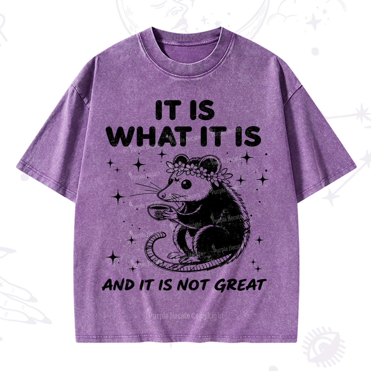 [Copy]Purplehecate Funny Capybara Washed T-Shirt