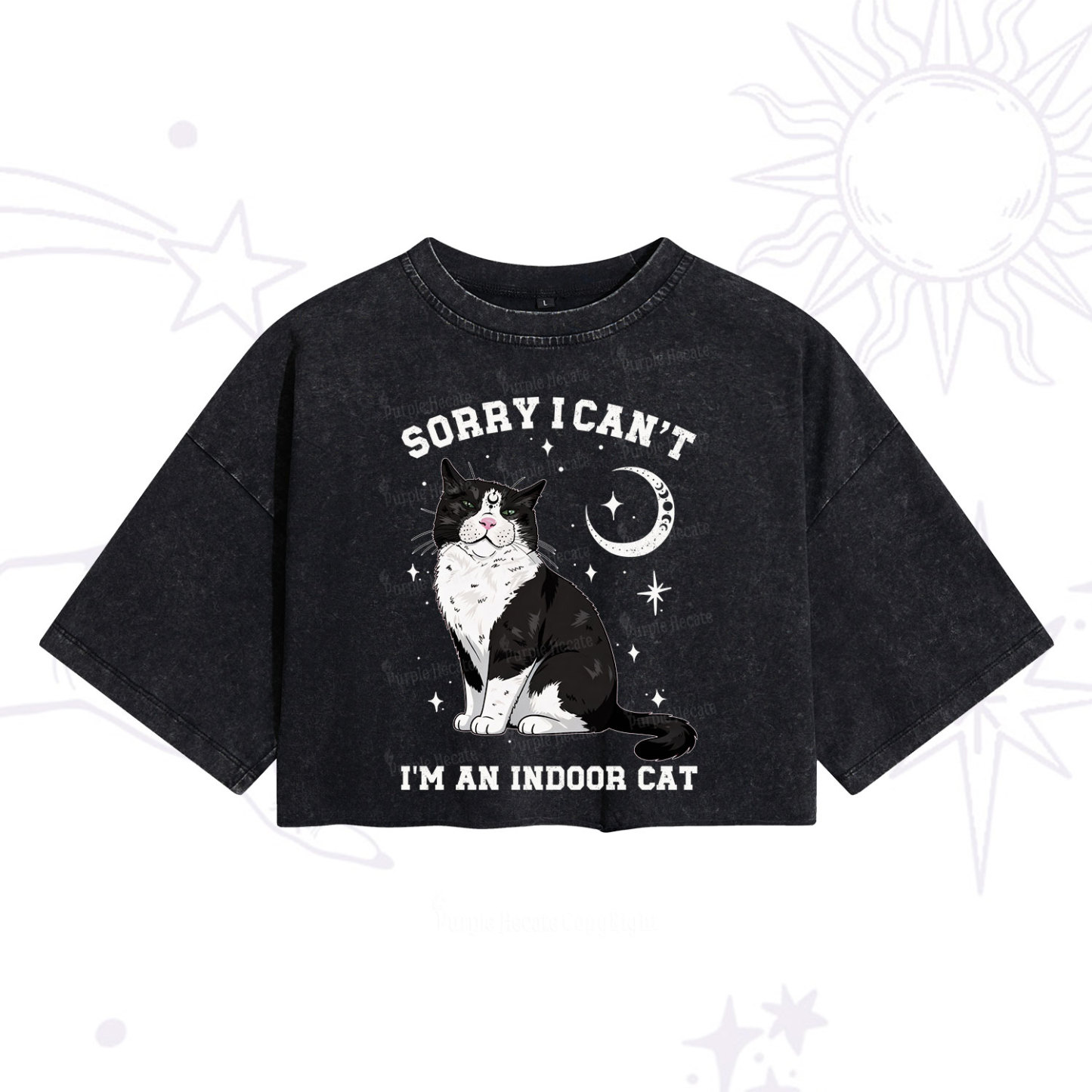 Purplehecate Sorry I Can't Go I'm an Indoor Cat Washed Cropped T-Shirt
