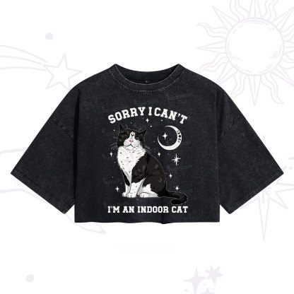 Purplehecate Sorry I Can't Go I'm an Indoor Cat Washed Cropped T-Shirt