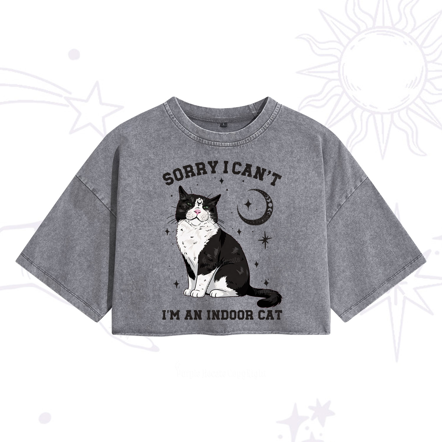 Purplehecate Sorry I Can't Go I'm an Indoor Cat Washed Cropped T-Shirt