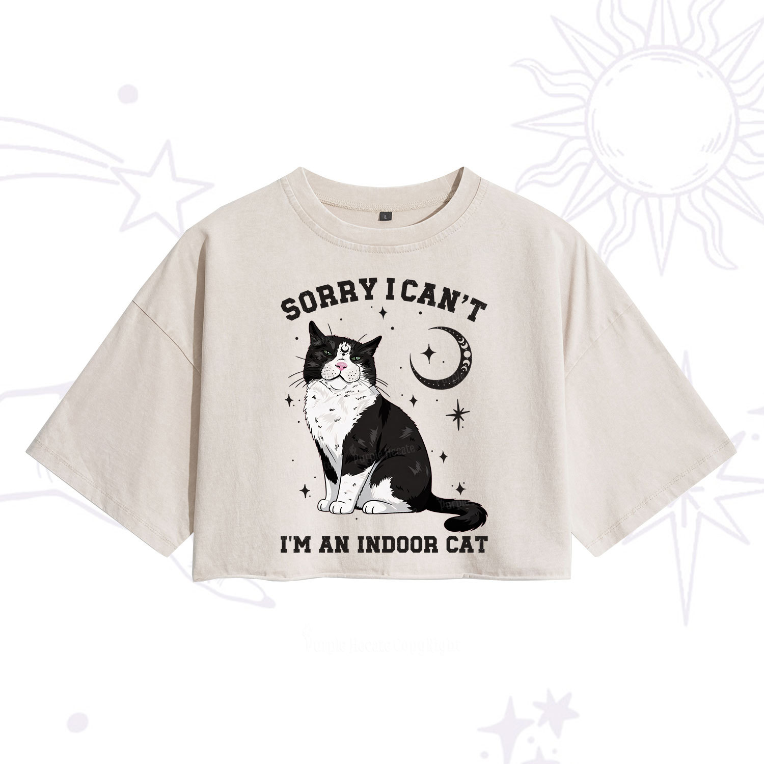 Purplehecate Sorry I Can't Go I'm an Indoor Cat Washed Cropped T-Shirt