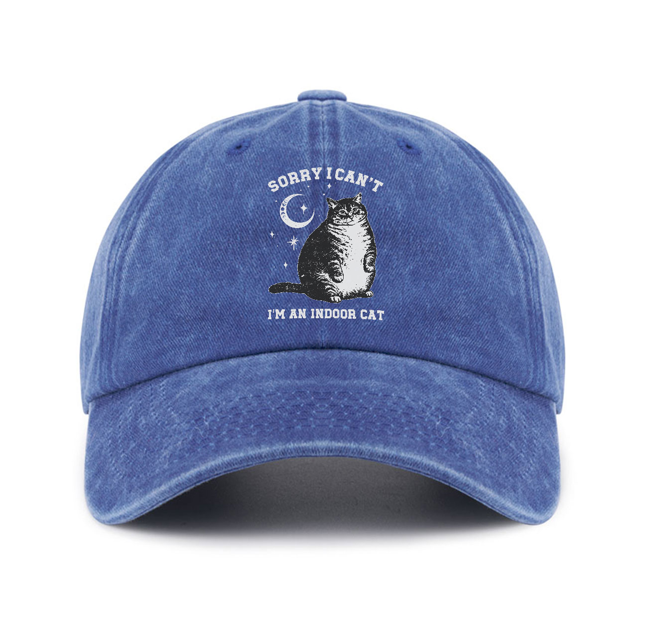 Purplehecate Sorry I Can't Go I'm an Indoor Cat Baseball Cap