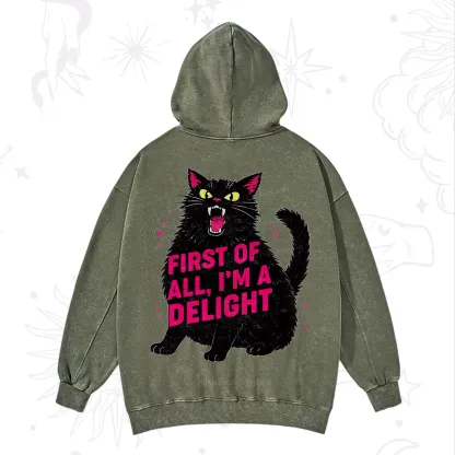 Purplehecate First Of All I'm A Delight Cat Washed Hoodie