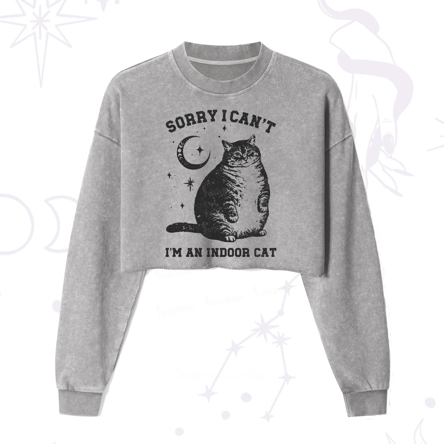 Purplehecate Sorry I Can't Go I'm an Indoor Cat Cropped Washed Sweatshirt