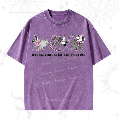 Purplehecate Overstimulated But Festive Possum Valentine Washed T-Shirt