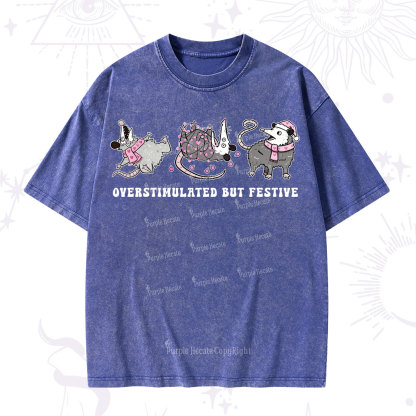 Purplehecate Overstimulated But Festive Possum Valentine Washed T-Shirt
