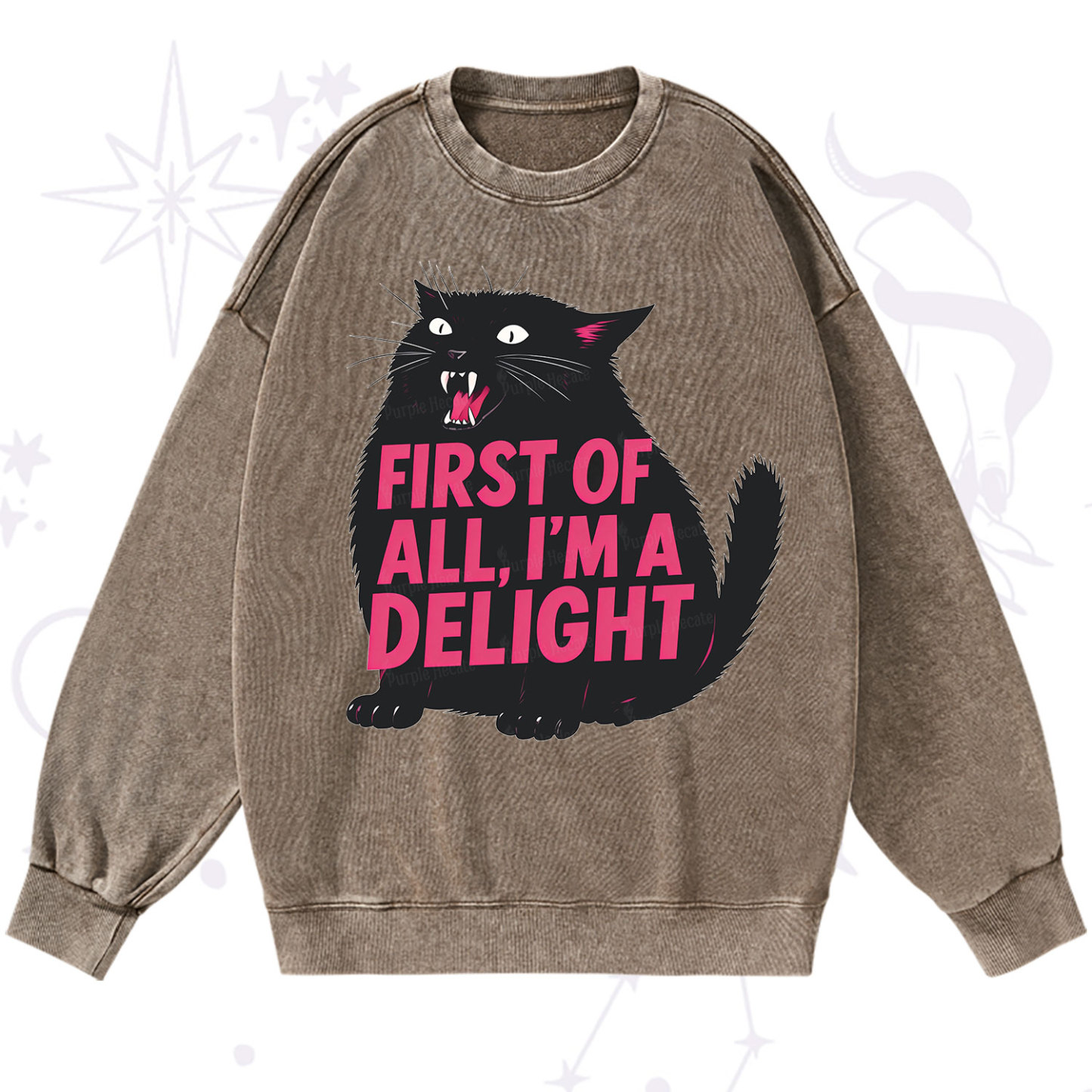 Purplehecate First Of All I'm A Delight Cat Washed Sweatshirt