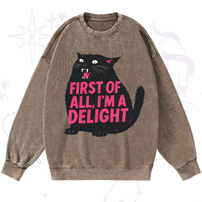 Purplehecate First Of All I'm A Delight Cat Washed Sweatshirt