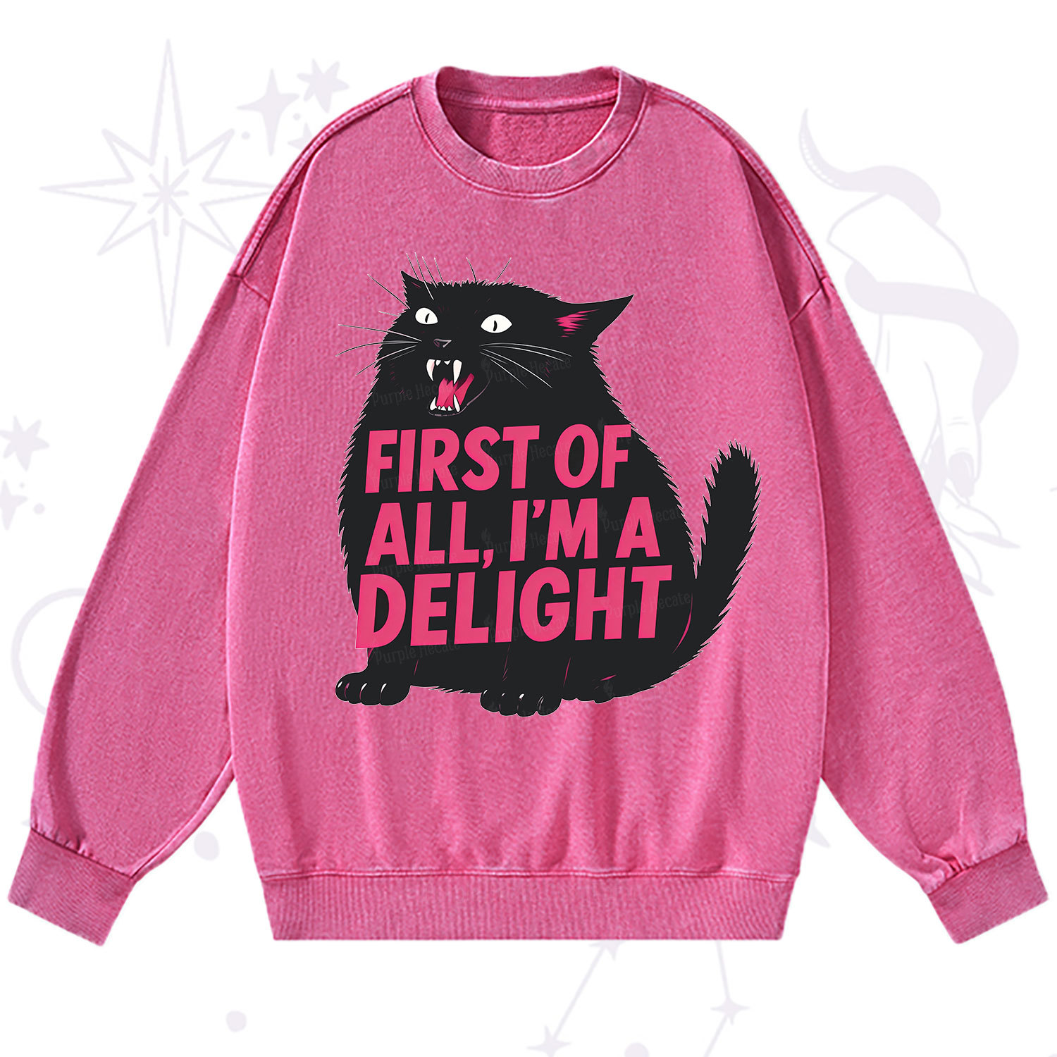 Purplehecate First Of All I'm A Delight Cat Washed Sweatshirt