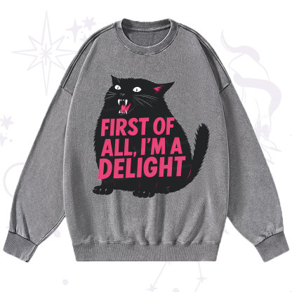 Purplehecate First Of All I'm A Delight Cat Washed Sweatshirt