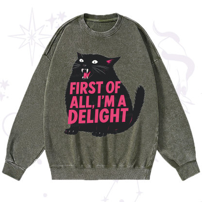 Purplehecate First Of All I'm A Delight Cat Washed Sweatshirt