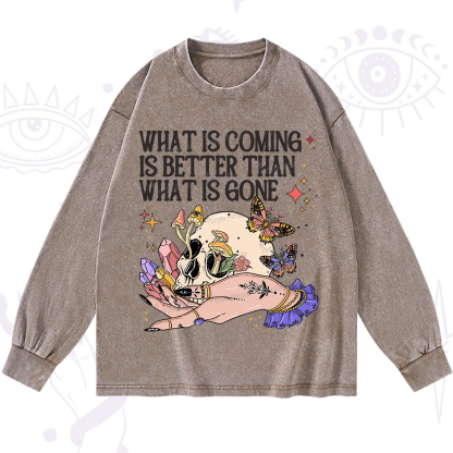 Purplehecate What Is Coming Is Better Than What Is Gone Washed Long Sleeve Shirt