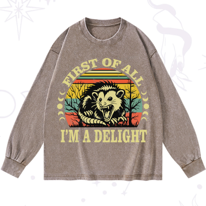 Purplehecate First Of All I'm A Delightful Opossum Washed Long Sleeve Shirt