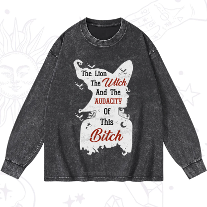 Purplehecate The Lion The Witch And The Audacity Of This Bitch Washed Long Sleeve Shirt