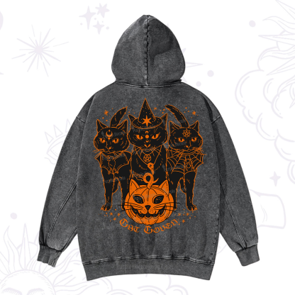 Purplehecate Pumpkin Witch Cat Coven Halloween Washed Hoodie