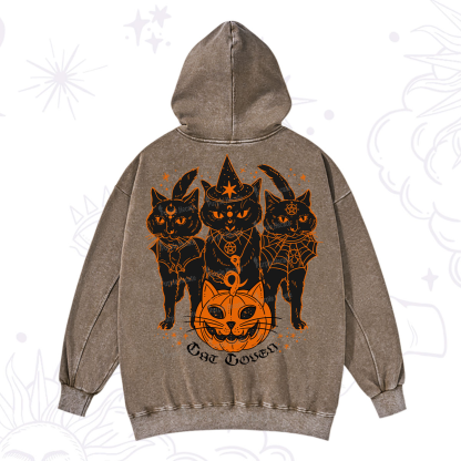 Purplehecate Pumpkin Witch Cat Coven Halloween Washed Hoodie