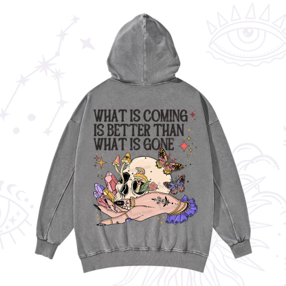 Purplehecate What Is Coming Is Better Than What Is Gone Washed Hoodie