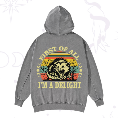 Purplehecate First Of All I'm A Delightful Opossum Washed Hoodie